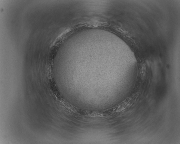 X0000067911446200604131331