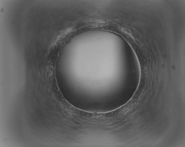 X0000067911447200604131331