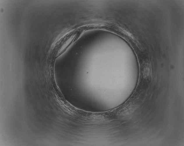 X0000067911448200604131331