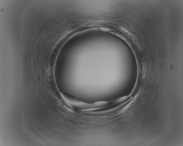 X0000067911449200604131331