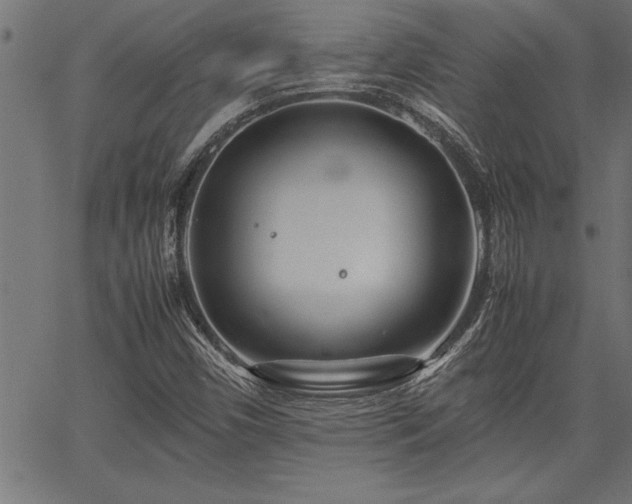 X0000067911450200604131331