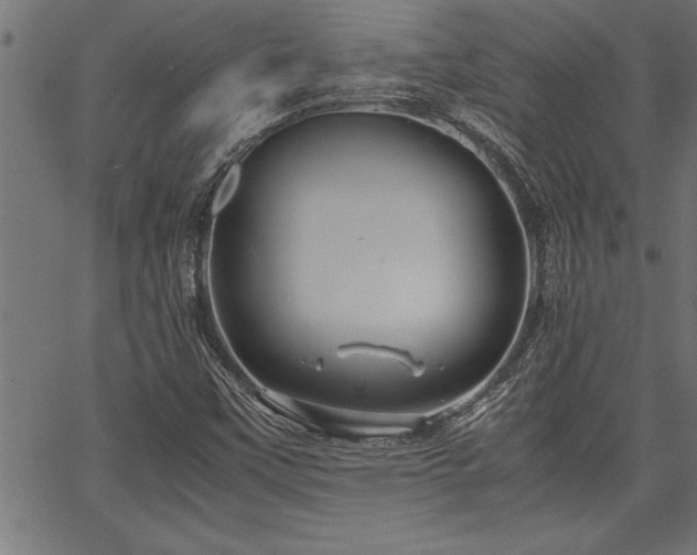 X0000067911451200604131331