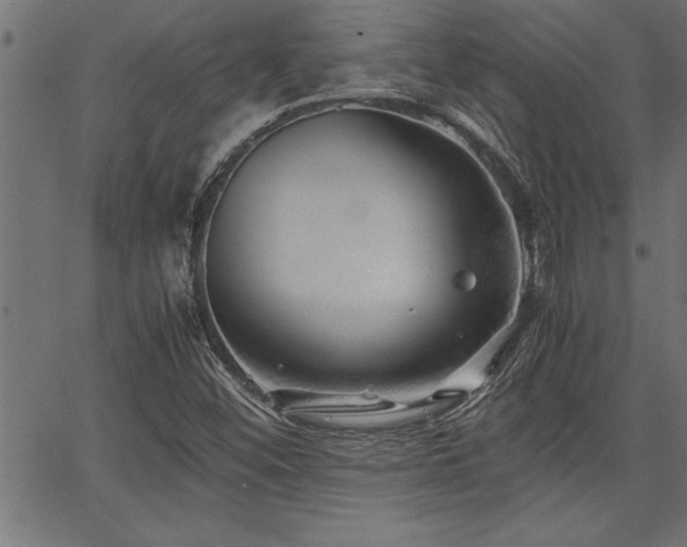 X0000067911452200604131331