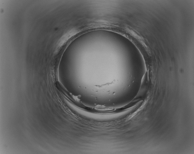 X0000067911453200604131331