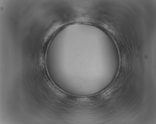 X0000067911454200604131331