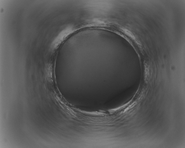 X0000067911455200604131331