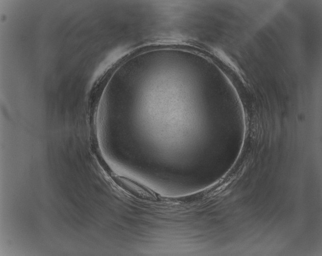 X0000067911456200604131331