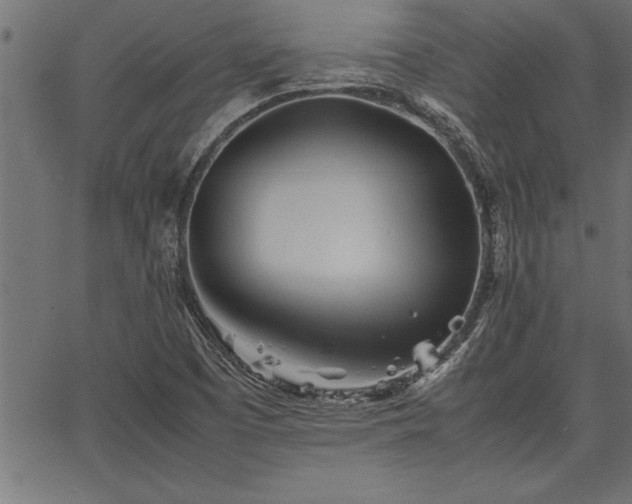 X0000067911457200604131331