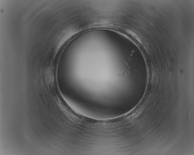 X0000067911458200604131331