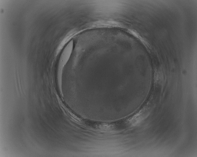 X0000067911459200604131331