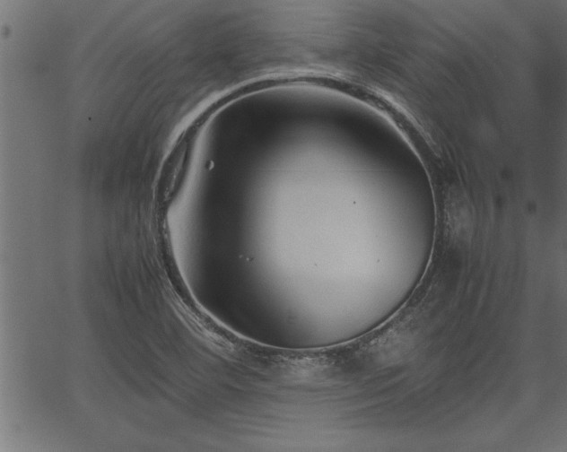 X0000067911460200604131331