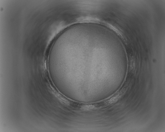 X0000067911462200604131331