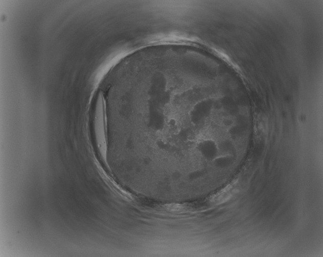 X0000067911463200604131331