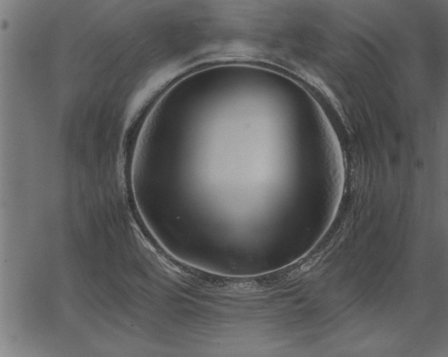 X0000067911464200604131331