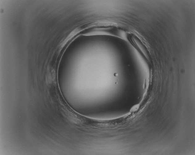 X0000067911465200604131331