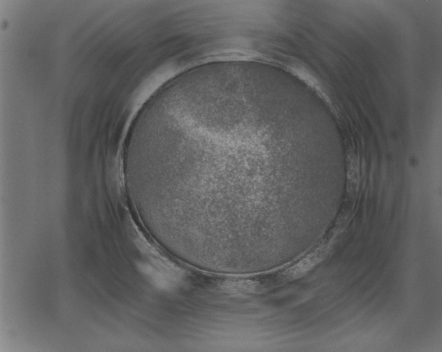 X0000067911466200604131331