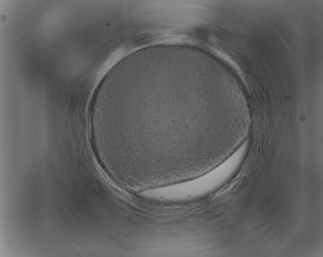 X0000067911467200604131331