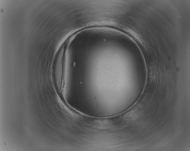 X0000067911468200604131331