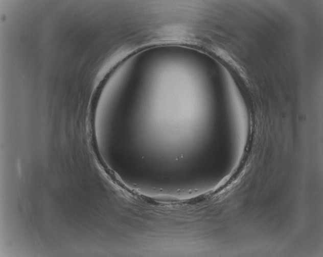 X0000067911469200604131331