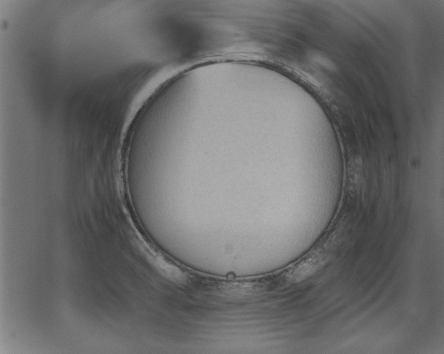 X0000067911470200604131331