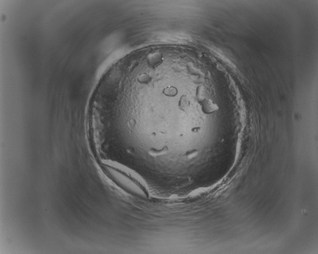 X0000067911471200604131331