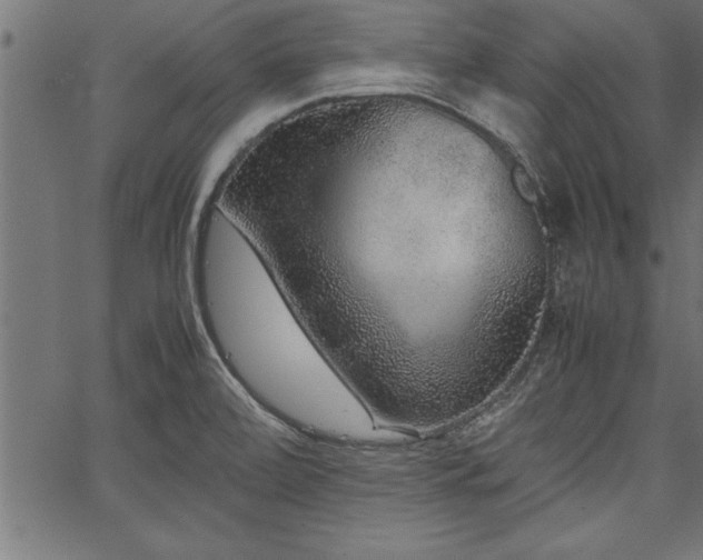 X0000067911472200604131331