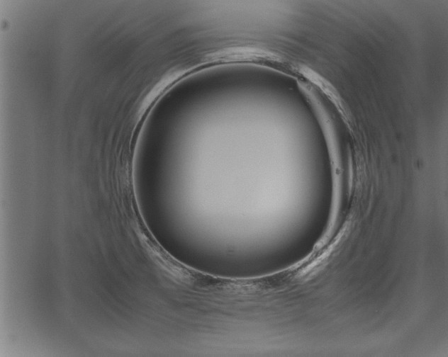 X0000067911473200604131331