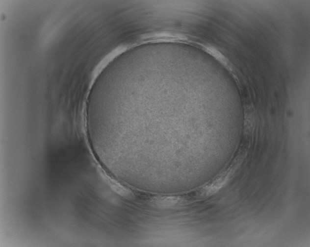 X0000067911474200604131331