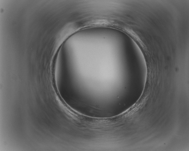 X0000067911475200604131331