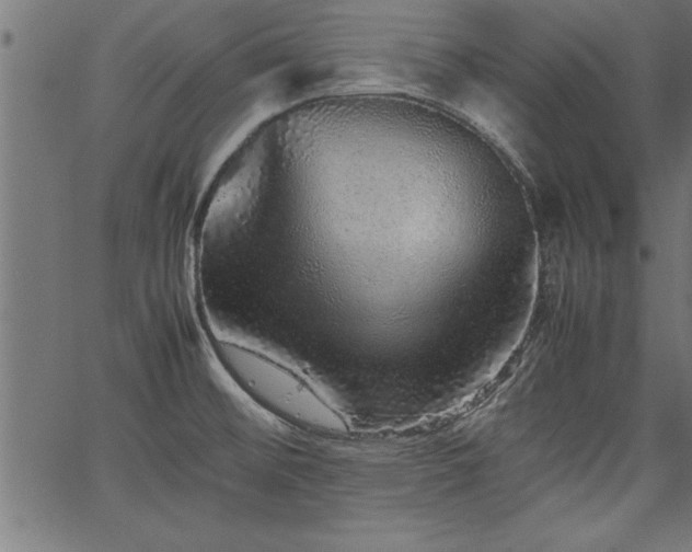 X0000067911476200604131331