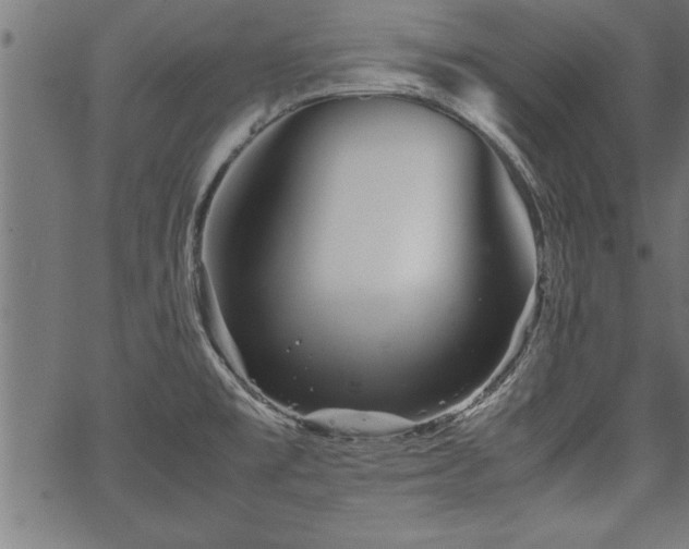 X0000067911477200604131331