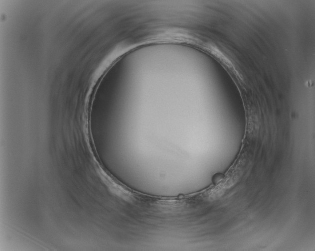 X0000067911478200604131331