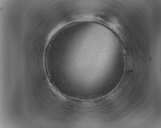 X0000067911480200604131331