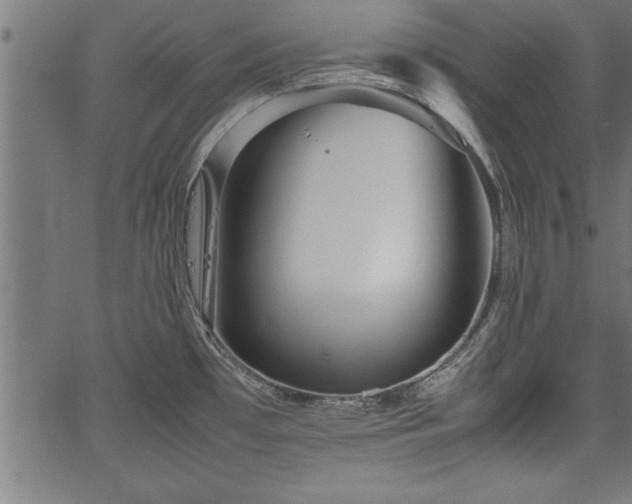 X0000067911481200604131331