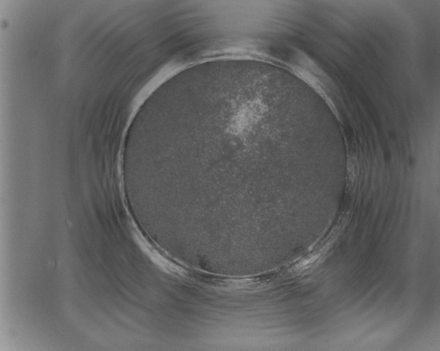 X0000067911482200604131331