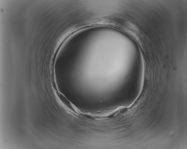 X0000067911483200604131331