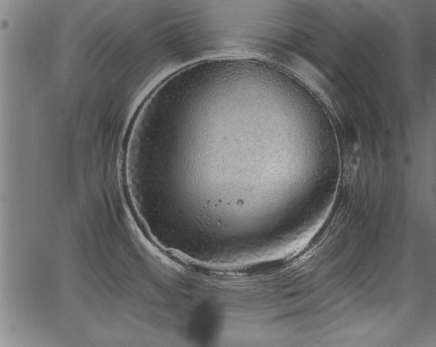 X0000067911484200604131331