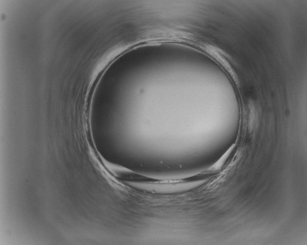 X0000067911485200604131331