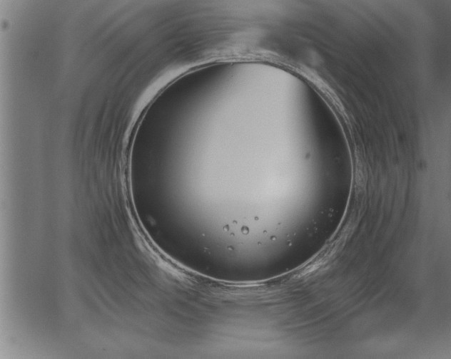 X0000067911486200604131331