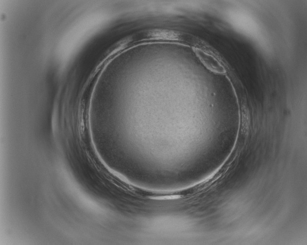 X0000067911487200604131331