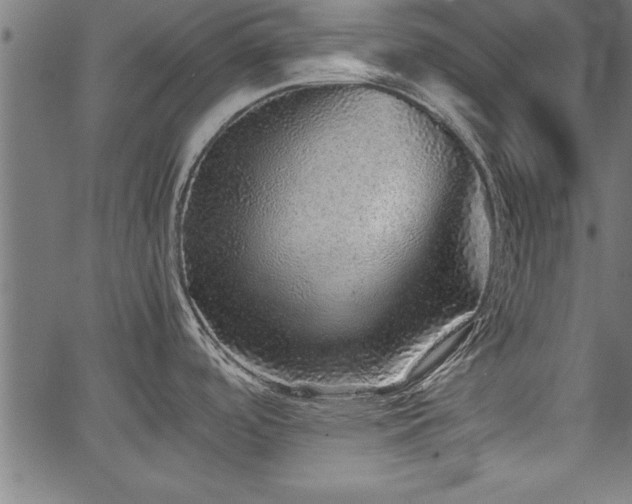 X0000067911488200604131331