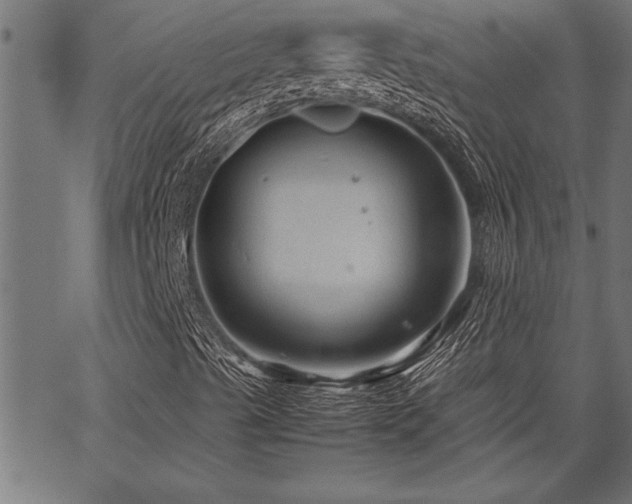 X0000067911489200604131330