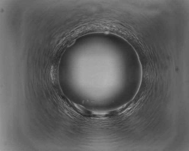 X0000067911490200604131330