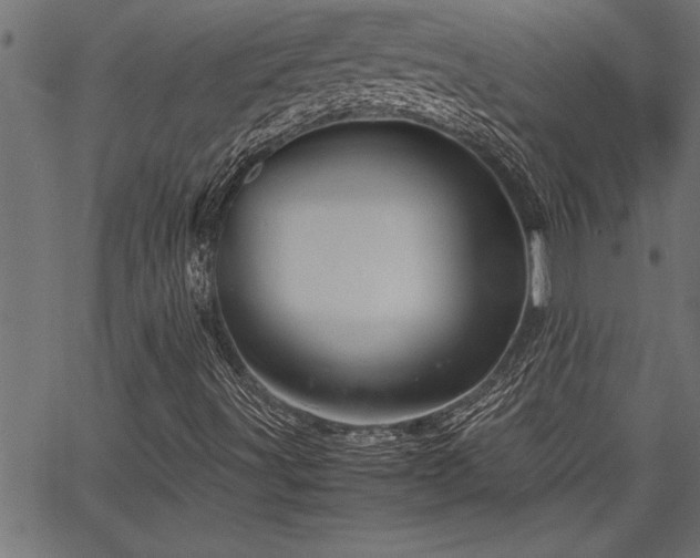 X0000067911491200604131330