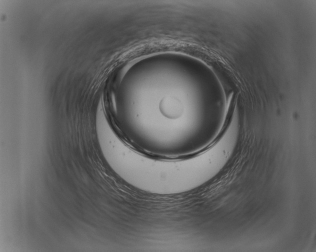 X0000067911492200604131330