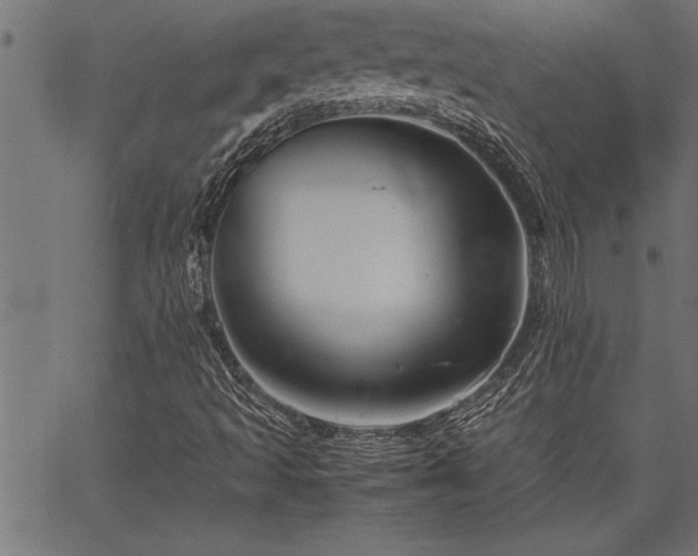 X0000067911493200604131330