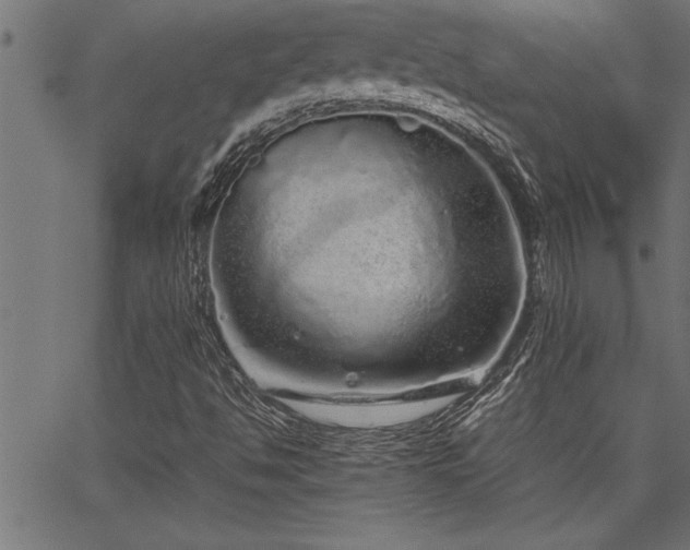 X0000067911494200604131330