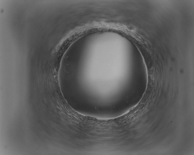 X0000067911495200604131330