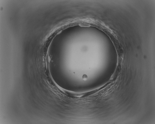 X0000067911496200604131330