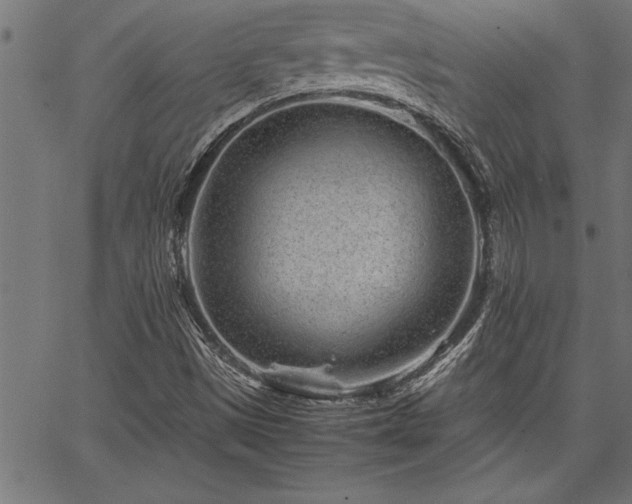 X0000067911497200604131330